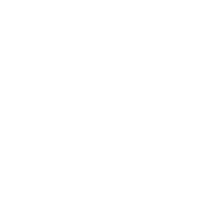 CLIENT-LIST-X3-WHITE_Branigan-Roark-Racing.png